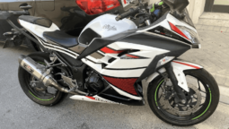 2017 Kawasaki Ninja 300 ABS (EX300B)