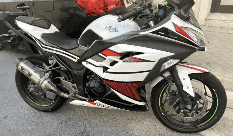 2017 Kawasaki Ninja 300 ABS (EX300B)