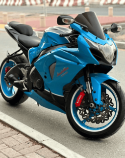 
										2014 Suzuki GSX-R1000 full									