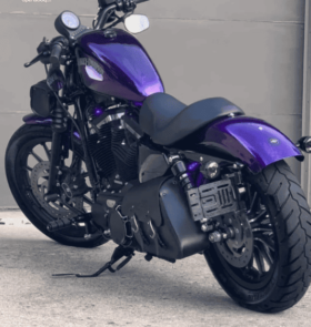 2014 Harley-Davidson Iron 883 (XL883N)