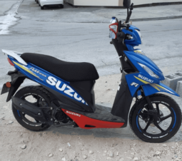 2019 Suzuki Address 110 (UK110NE)