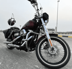 2010 Harley-Davidson Dyna Street Bob 103 (FXDB 103)